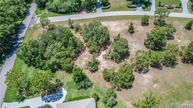 RARE OPPORTUNITY to own a premier estate homesite in the - photo 8
