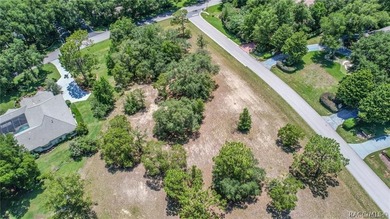 RARE OPPORTUNITY to own a premier estate homesite in the - photo 9