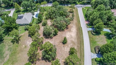 RARE OPPORTUNITY to own a premier estate homesite in the - photo 10