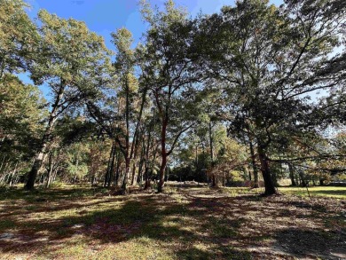 This 20 acre property is one of the last multi-acre tracts in