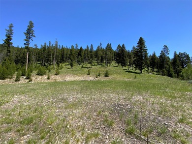 Silver Lake Acreage For Sale in Anaconda Montana