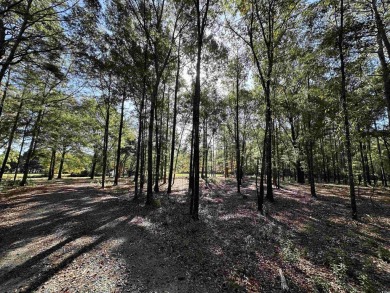 This 20 acre property is one of the last multi-acre tracts in