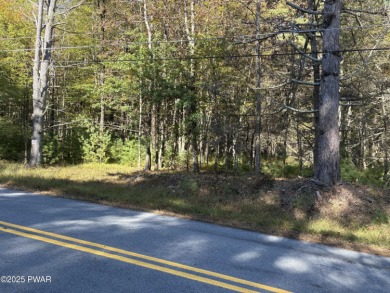 Lake Acreage For Sale in Lakeville, Pennsylvania