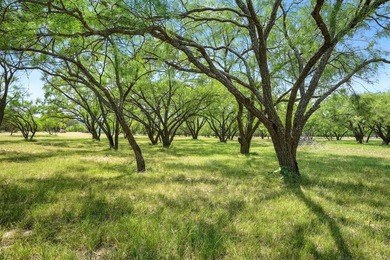 Just 30 Miles South of Abilene you will find an incredible - photo 32
