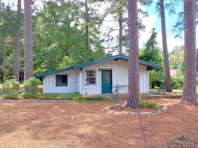 Lake Home For Sale in Avinger, Texas