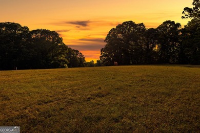 (private lake, pond, creek) Acreage For Sale in Williamson Georgia