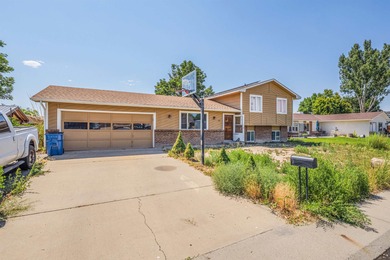 Colorado River Home For Sale in Grand Junction Colorado