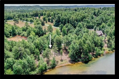 Welcome to the Keowee Life! Located in the Highlands on Lake - Lake Lot For Sale in Six Mile, South Carolina