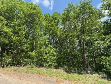 Duck Pond Acreage For Sale in Columbus North Carolina