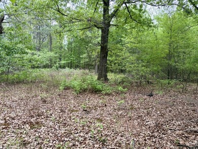 Located near Centerville, Arkansas, this exceptional property - photo 11