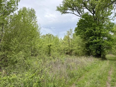 Located near Centerville, Arkansas, this exceptional property - photo 12