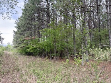 Located near Centerville, Arkansas, this exceptional property - photo 13