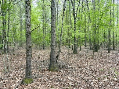 Located near Centerville, Arkansas, this exceptional property - photo 24