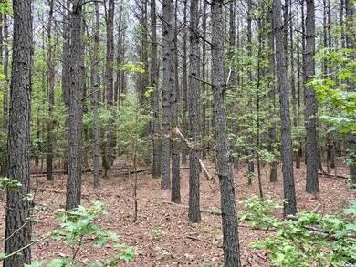 Located near Centerville, Arkansas, this exceptional property - photo 25