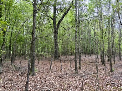 Located near Centerville, Arkansas, this exceptional property - photo 26