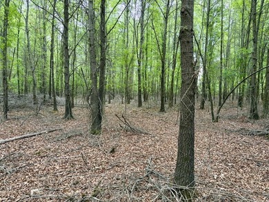 Located near Centerville, Arkansas, this exceptional property - photo 27
