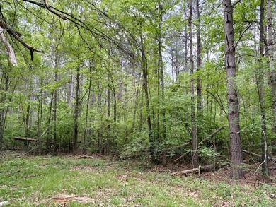Located near Centerville, Arkansas, this exceptional property - photo 29