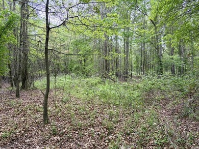 Located near Centerville, Arkansas, this exceptional property - photo 36