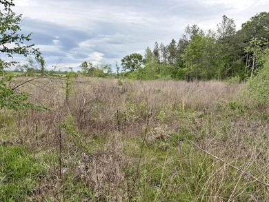 Located near Centerville, Arkansas, this exceptional property - photo 37