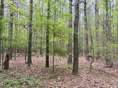 Located near Centerville, Arkansas, this exceptional property - photo 38