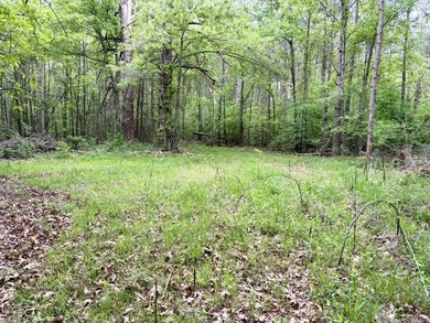 Located near Centerville, Arkansas, this exceptional property - photo 39