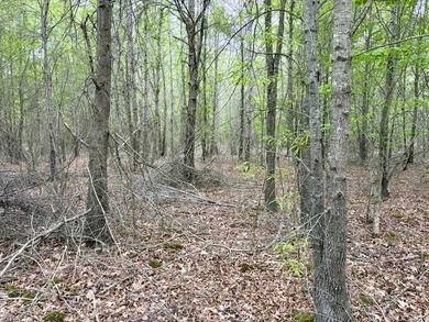 Located near Centerville, Arkansas, this exceptional property - photo 41