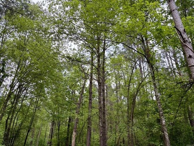 Located near Centerville, Arkansas, this exceptional property - photo 43