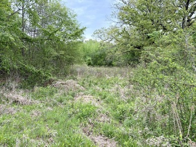Located near Centerville, Arkansas, this exceptional property - photo 44