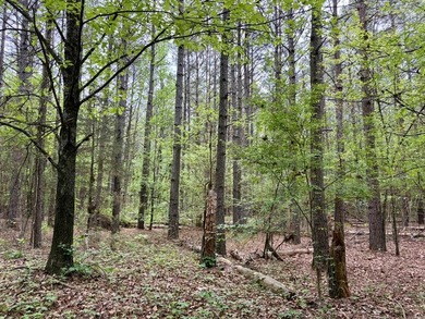 Located near Centerville, Arkansas, this exceptional property - photo 45