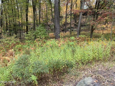 Hemlock Lake Lot Sale Pending in Lords Valley Pennsylvania