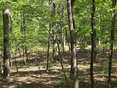 Lake Lot For Sale in Hot Springs, Arkansas