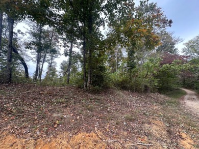 Lake Lot For Sale in Celina, Tennessee