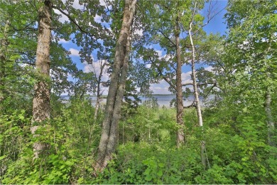 Lake Lot For Sale in Backus, Minnesota