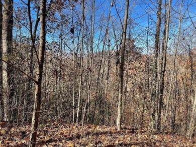 Lake Acreage For Sale in Hayesville, North Carolina