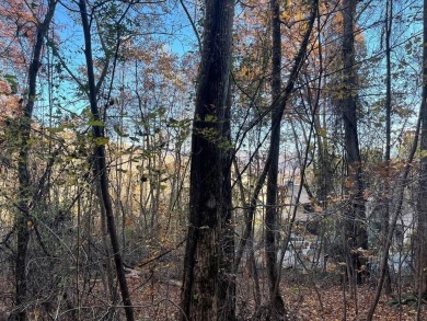 Lake Acreage For Sale in Hayesville, North Carolina