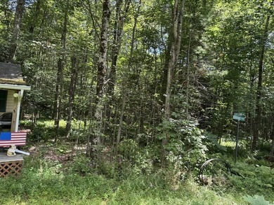 Exceptional 9.26-Acre Wooded Retreat - Lot 13, Algerie Road - photo 3