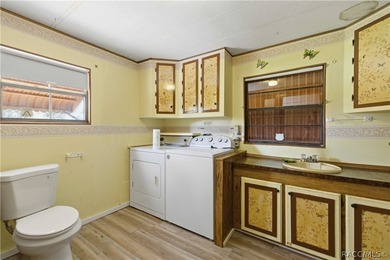 Opportunity awaits with this fully fenced Homosassa property - photo 16