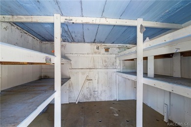 Opportunity awaits with this fully fenced Homosassa property - photo 29