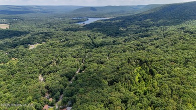 Lake Of The Four Seasons Acreage For Sale in Drums Pennsylvania