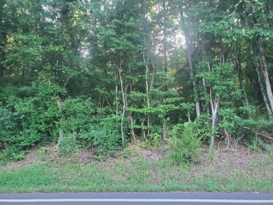 Lake Lot Sale Pending in Decatur, Tennessee