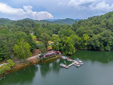 Lake Santeetlah Commercial For Sale in Robbinsville North Carolina