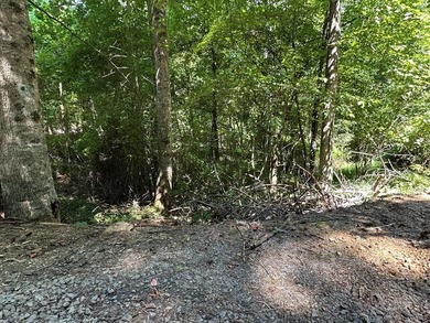 Lake Hiwassee Lot For Sale in Murphy North Carolina