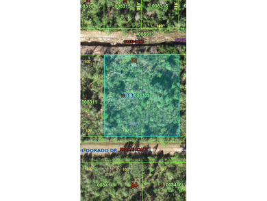 Owner financing considered. Vacant Lot in a golf , fishing & - photo 1