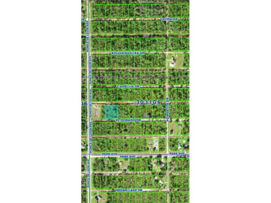 Lake Lot For Sale in Indian Lake Estates, Florida