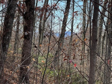 Lake Acreage For Sale in Hayesville, North Carolina