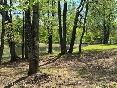 Come check out this well-maintained, rolling property on 3.35 - photo 21