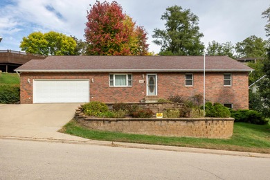 Mississippi River  - Clayton County Home For Sale in Dubuque Iowa