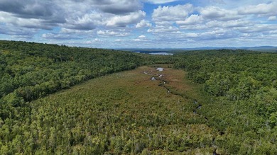 Imagine owning 79.46 acres of Maine's pristine woodland in the - photo 2