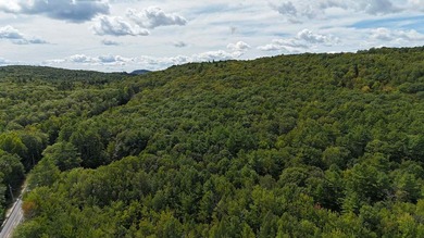 Imagine owning 79.46 acres of Maine's pristine woodland in the - photo 3