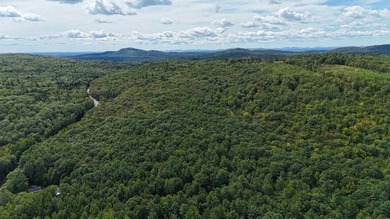 Imagine owning 79.46 acres of Maine's pristine woodland in the - photo 4